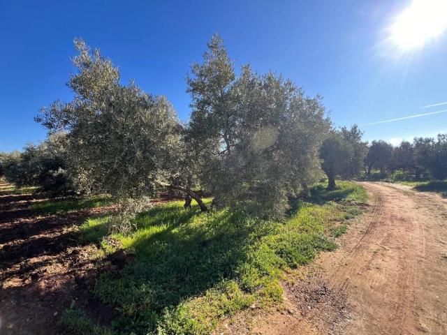 Casa Rural en venta en Antequera, Andalucía