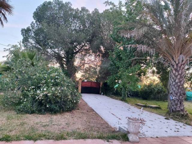 Casa Rural en venta en Arahal, Andalucía