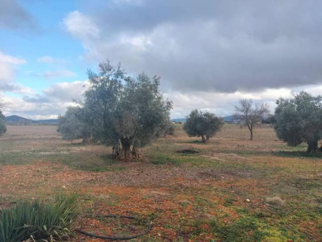 Casa Rural en venta en Argamasilla De Calatrava, Castilla-La Mancha
