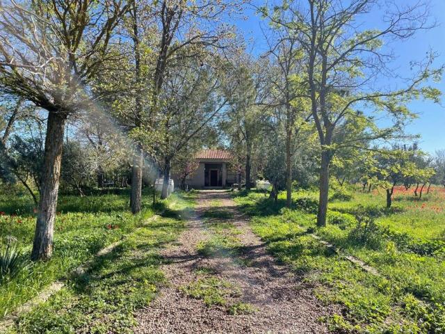 Casa Rural en venta en Argamasilla De Calatrava