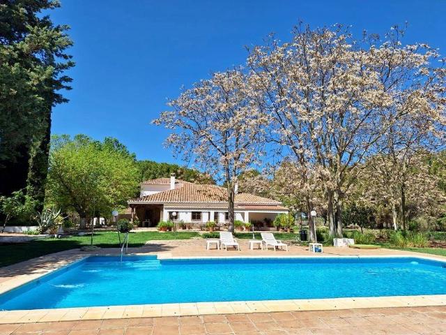 Casa Rural en venta en Argamasilla De Calatrava