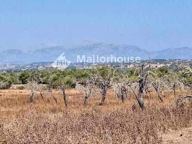 Casa Rural en venta en Pla de Mallorca, Baleares