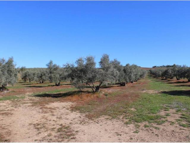 Casa Rural en venta en Arriate, Málaga