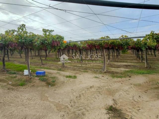 Casa Rural en venta en el Vinalopó Mitjà / El Vinalopó Medio, Valencia