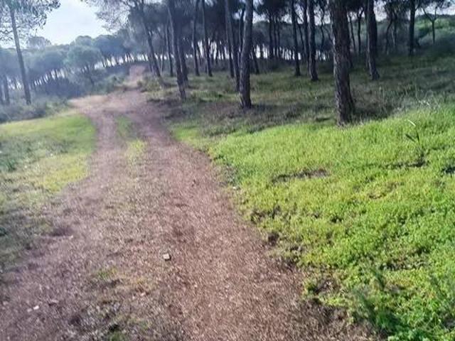 Casa Rural en venta en Fotea, Ayamonte