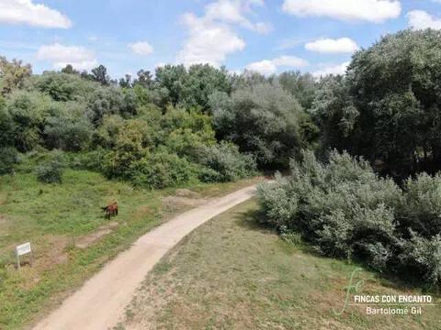 Casa Rural en venta en Aznalcázar, Andalucía