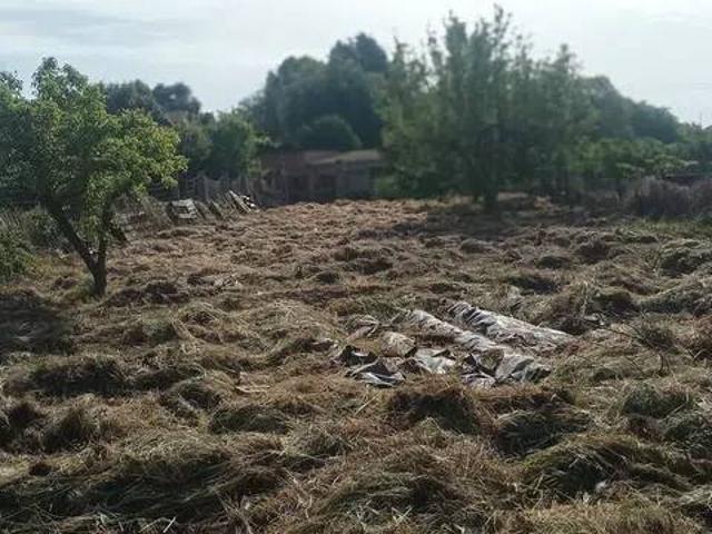 Casa Rural en venta en Noguera, Catalunya