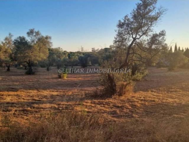 Terreno en venta en El Condado, Andalucía
