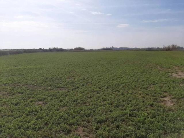 Terreno en venta en Bellvís
