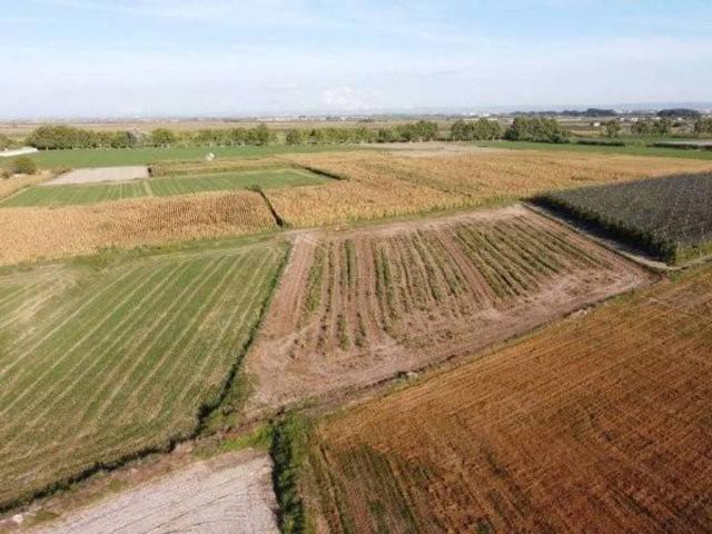 Terreno en venta en Bellvís, els Arcs