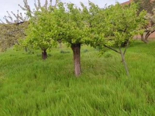 Casa Rural en venta en Bembibre