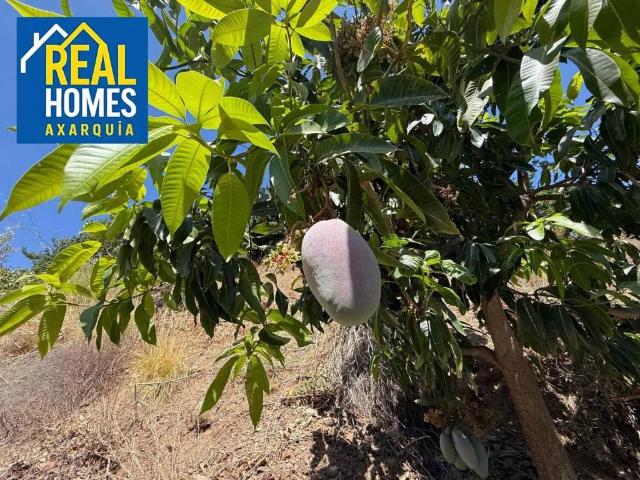 Casa Rural en venta en Benamargosa, Málaga