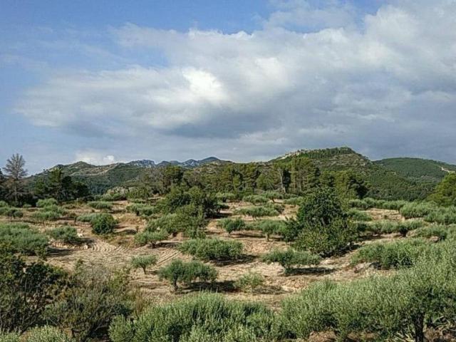Casa Rural en venta en Benifallet