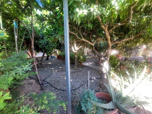 Casa Rural en venta en Berja, Andalucía