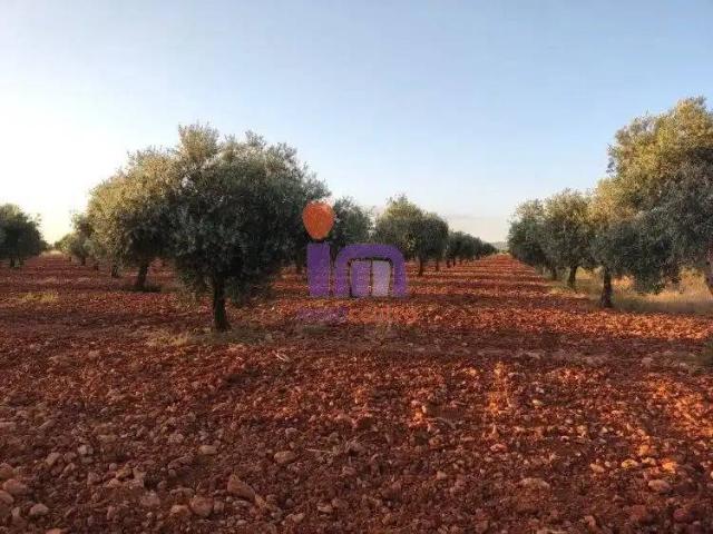 Casa Rural en venta en Bolaños De Calatrava, Castilla-La Mancha