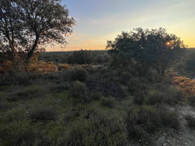 Casa Rural en venta en Brunete