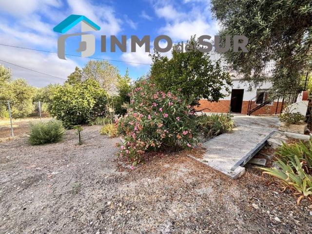 Casa Rural en venta en Cabra, Andalucía