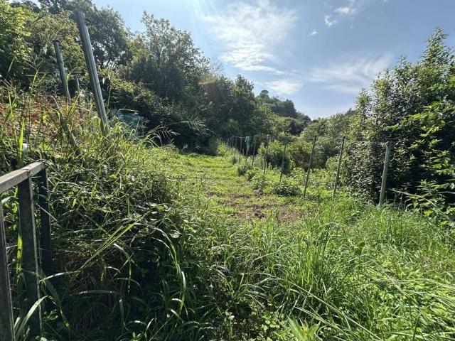 Casa Rural en venta en Cabranes, Asturias