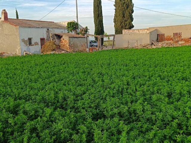 Casa Rural en venta en el Baix Segura / La Vega Baja, Valencia