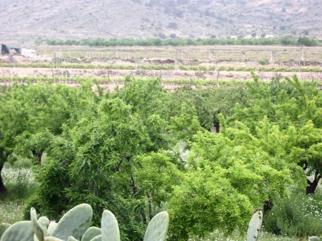 Casa Rural en venta en el Baix Segura / La Vega Baja, Valencia