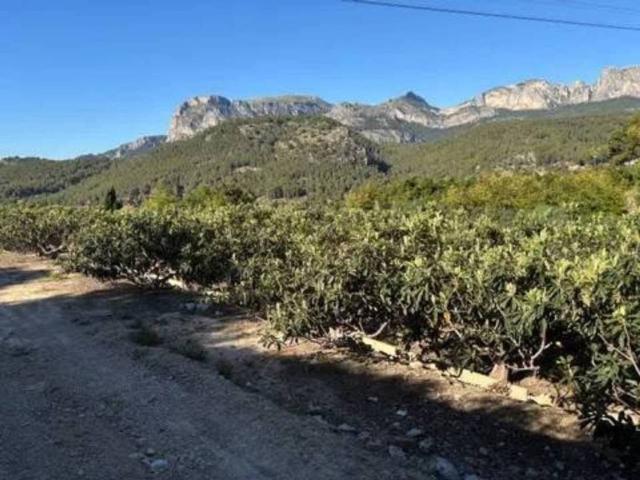 Casa Rural en venta en la Marina Baixa, Valencia