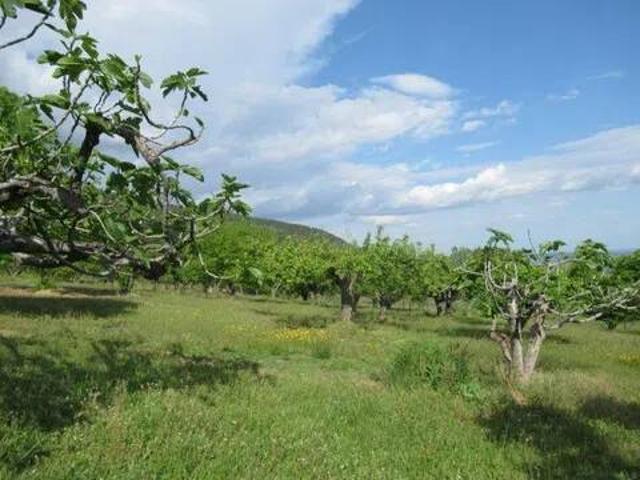 Casa Rural en venta en Candeleda, Castilla y León