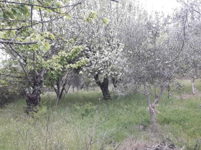 Casa Rural en venta en Candeleda