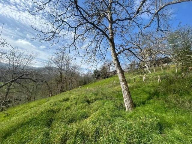 Casa Rural en venta en Cangas De Onís, Asturias