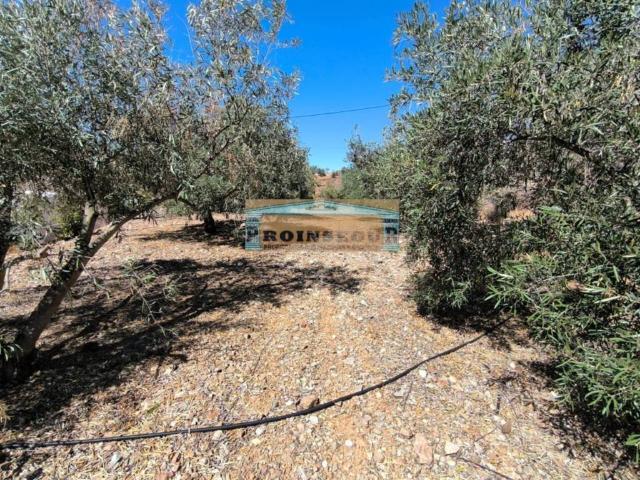 Casa Rural en venta en Valle del Guadalhorce, Andalucía