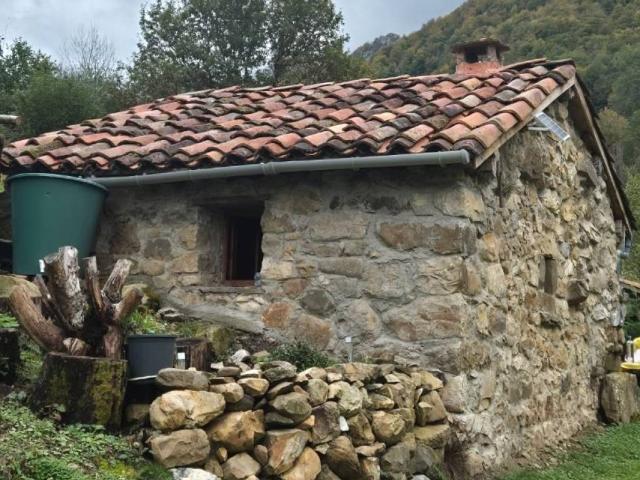 Casa Rural en venta en Caso, Asturias