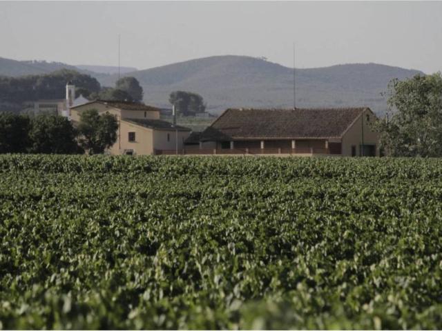 Casa Rural en venta en Alt Penedès, Catalunya