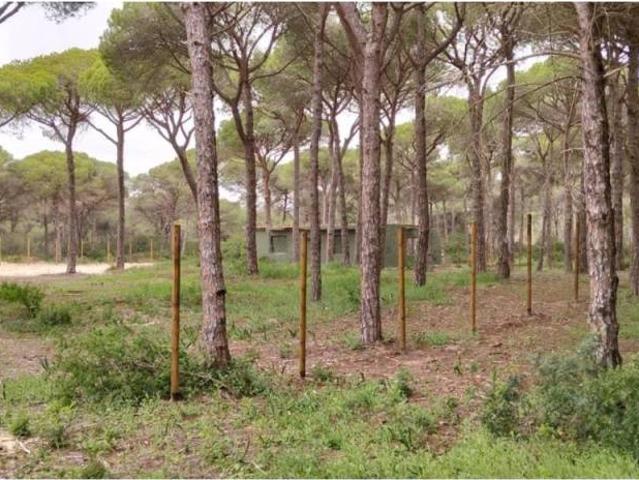 Casa Rural en venta en Bahía de Cádiz, Andalucía