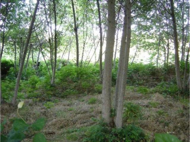 Casa Rural en venta en el Comtat, Valencia