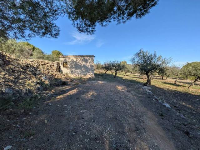 Casa Rural en venta en el Comtat, Valencia