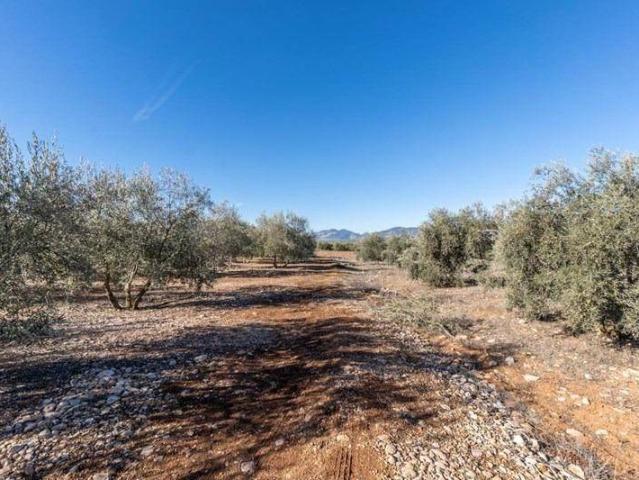 Casa Rural en venta en Cogollos De La Vega