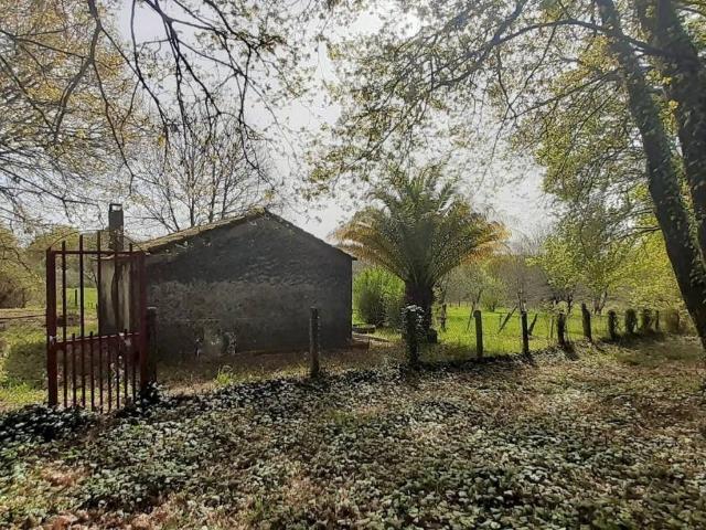 Casa Rural en venta en Coles, Ourense