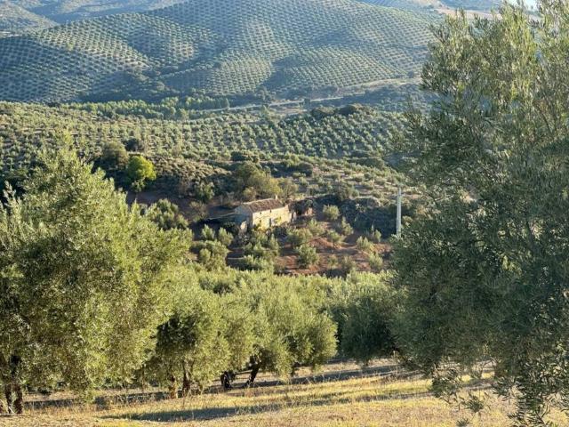 Casa Rural en venta en Comarca de Los Montes, Andalucía