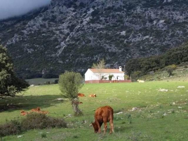 Casa Rural en venta en Serranía de Ronda, Andalucía