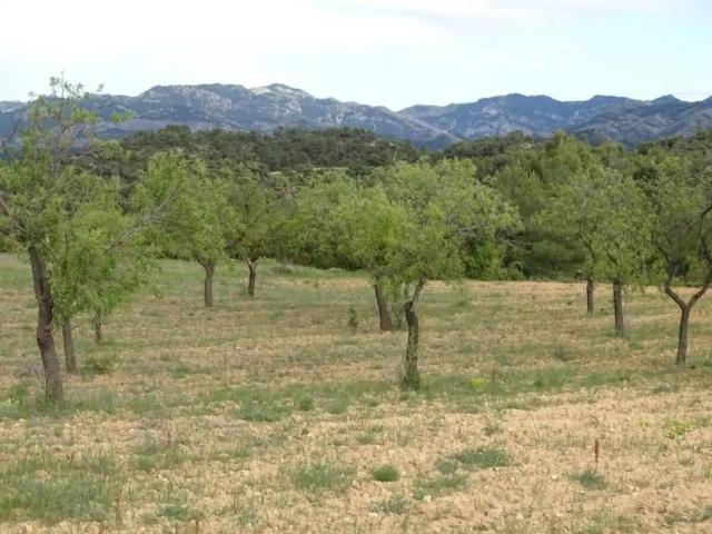 Casa Rural en venta en Matarraña / Matarranya, Cretas