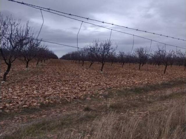 Casa Rural en venta en Daimiel, Castilla-La Mancha