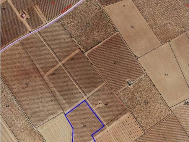 Casa Rural en venta en Daimiel, Castilla-La Mancha
