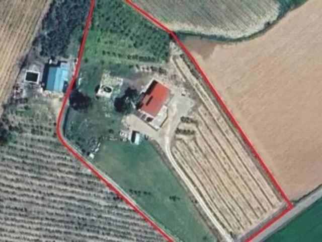 Casa Rural en venta en Daimiel, Castilla-La Mancha