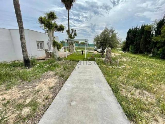 Casa Rural en venta en el Baix Segura / La Vega Baja, Valencia