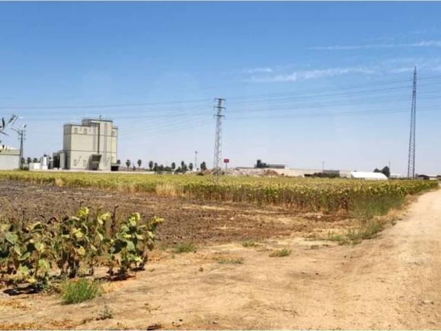 Casa Rural en venta en Écija, Andalucía