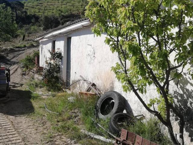 Quinta en venta en El Pinar Quinta en venta en El Pinar