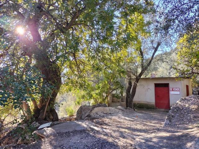 Quinta en venta en El Pinar Quinta en venta en El Pinar