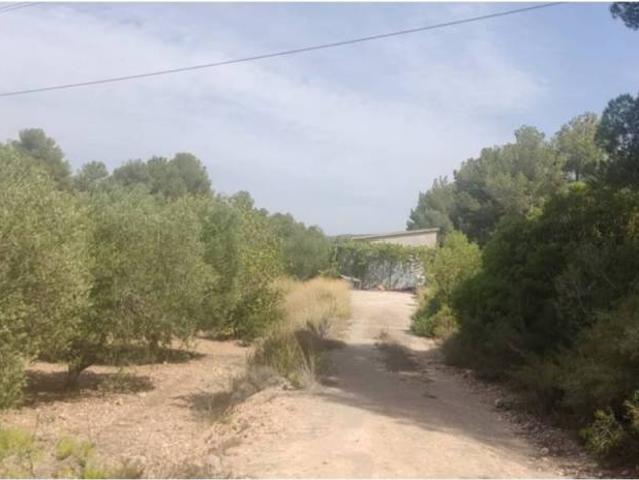 Casa Rural en venta en Alt Camp, Catalunya