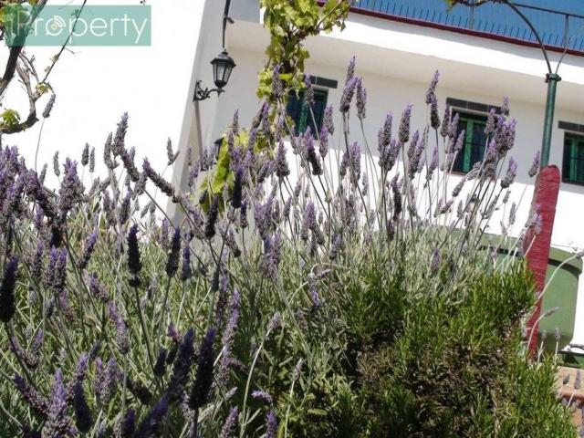 Casa Rural en venta en el Puig, Baix Penedès