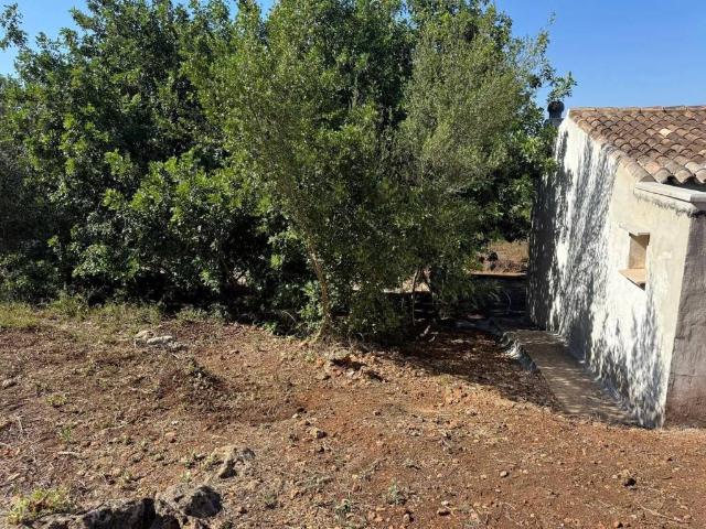 Casa Rural en venta en El Verger