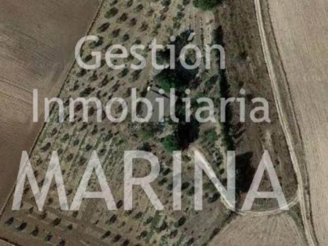 Casa Rural en venta en El Viso De San Juan